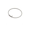 CAMPAGNOLO freewheel for wheels body spring