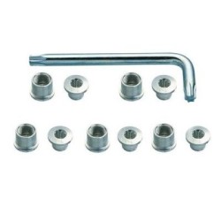 Silver screws