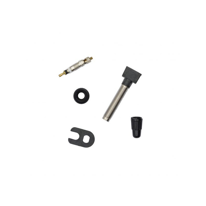 FULCRUM Valve Tubeless 2-Way Fit CAMPAGNOLO