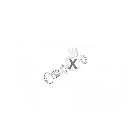 SHIMANO Vis Banjo de Connexion 