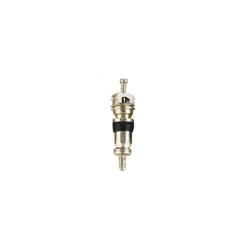 SCHWALBE Obus de Valve