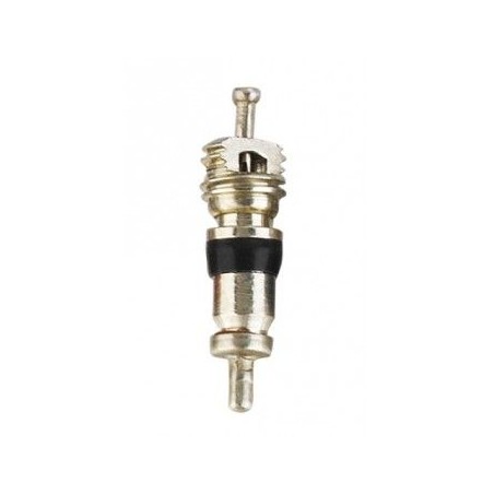 SCHWALBE Obus de Valve