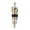 SCHWALBE Obus de Valve