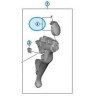 SHIMANO Capot Frontal de Levier Gauche DURA-ACE 9100