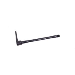 WILIER Blocage de Roue Arrière 12X142 Disque