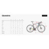 WILIER Route GTR TEAM - XL - Shimano 105 RS100 - Patins - Noir