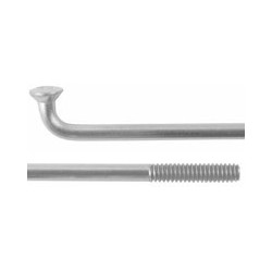 RADIUS Massi