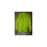 APIS wind yellow